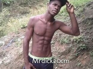 Mrdick20cm