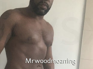 Mrwoodmoaning