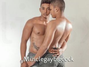 Musclegaybigcock