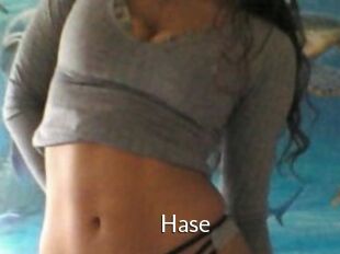 Hase