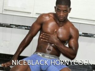 NICEBLACK_HORNYCOCK