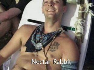 Nectar_Rabbit