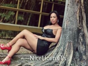 NiceHornyTs