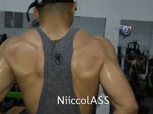 NiiccolASS