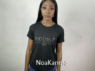 NoaKane18