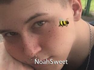NoahSweet