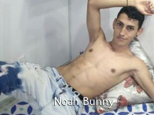 Noah_Bunny