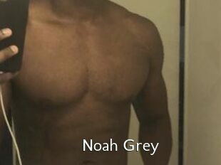 Noah_Grey