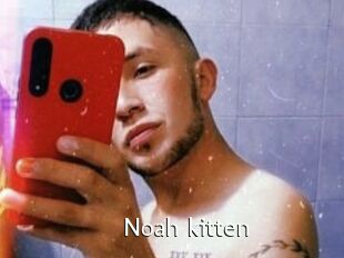 Noah_kitten