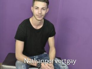 Nathanpervertgay