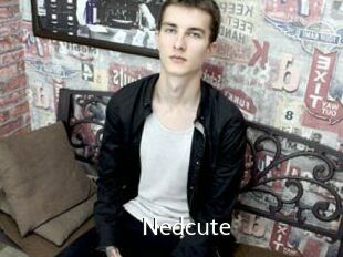 Nedcute
