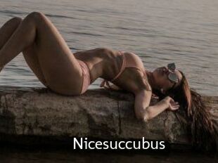 Nicesuccubus