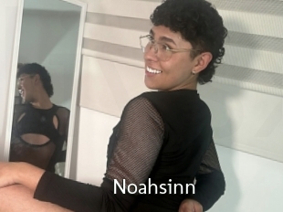 Noahsinn