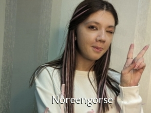 Noreengorse