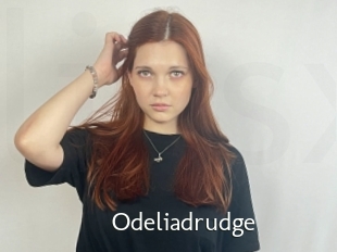 Odeliadrudge