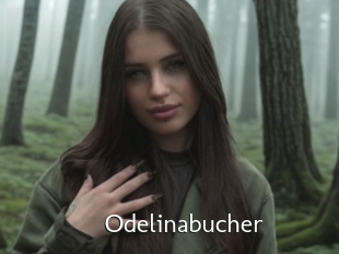 Odelinabucher