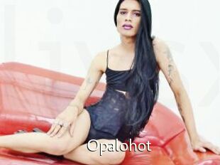Opalohot