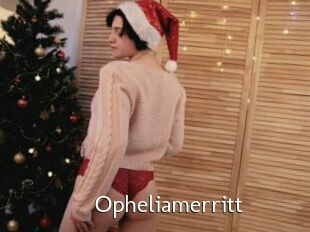 Opheliamerritt