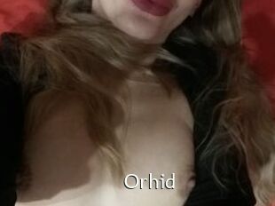 Orhid