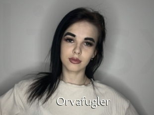 Orvafugler