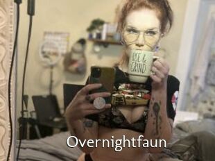 Overnightfaun