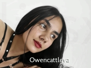 Owencattleya
