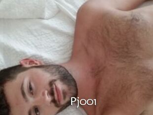 Pj001
