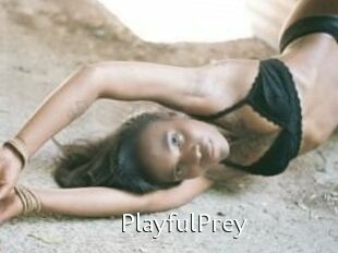 PlayfulPrey