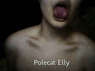 Polecat_Elly