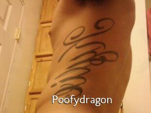 Poofydragon