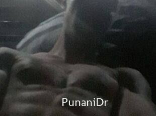 PunaniDr