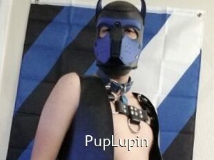 PupLupin