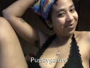 Pussaygalore