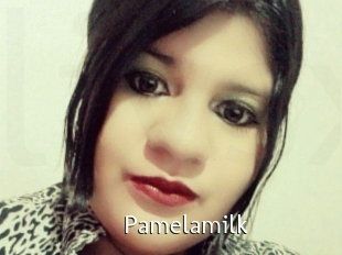 Pamelasuite