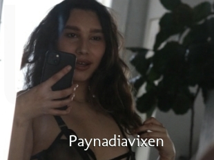Paynadiavixen