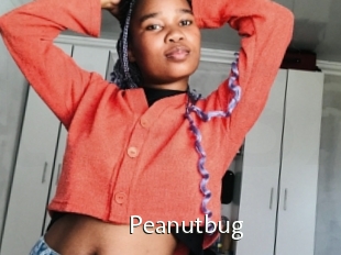 Peanutbug