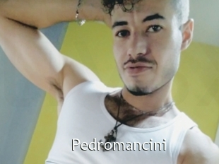Pedromancini
