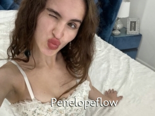 Penelopeflow