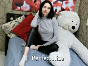 Perfecteliza
