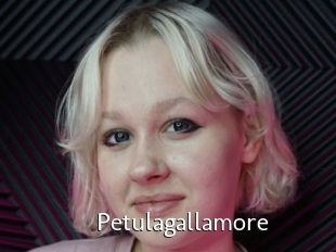 Petulagallamore