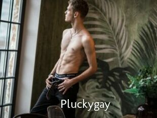 Pluckygay