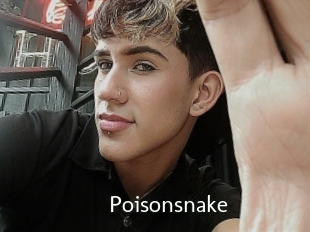 Poisonsnake