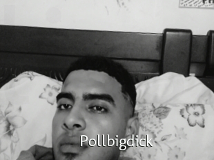 Pollbigdick