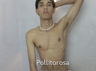 Pollitorosa