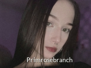 Primrosebranch