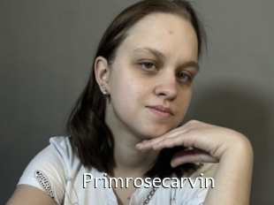 Primrosecarvin