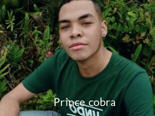 Prince_cobra