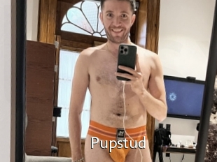 Pupstud