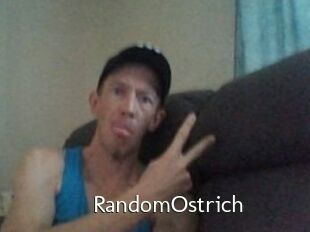 RandomOstrich