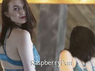 RaspberryFun